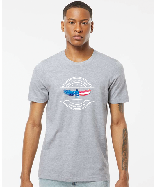 American Eagle Graphic Tee