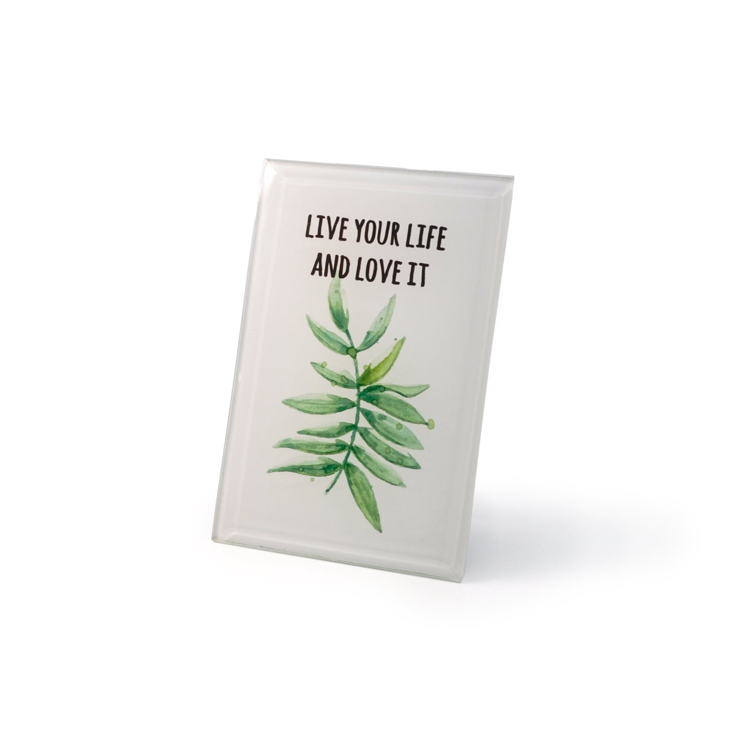 Inspirational Quote: Love Your Life Plaque