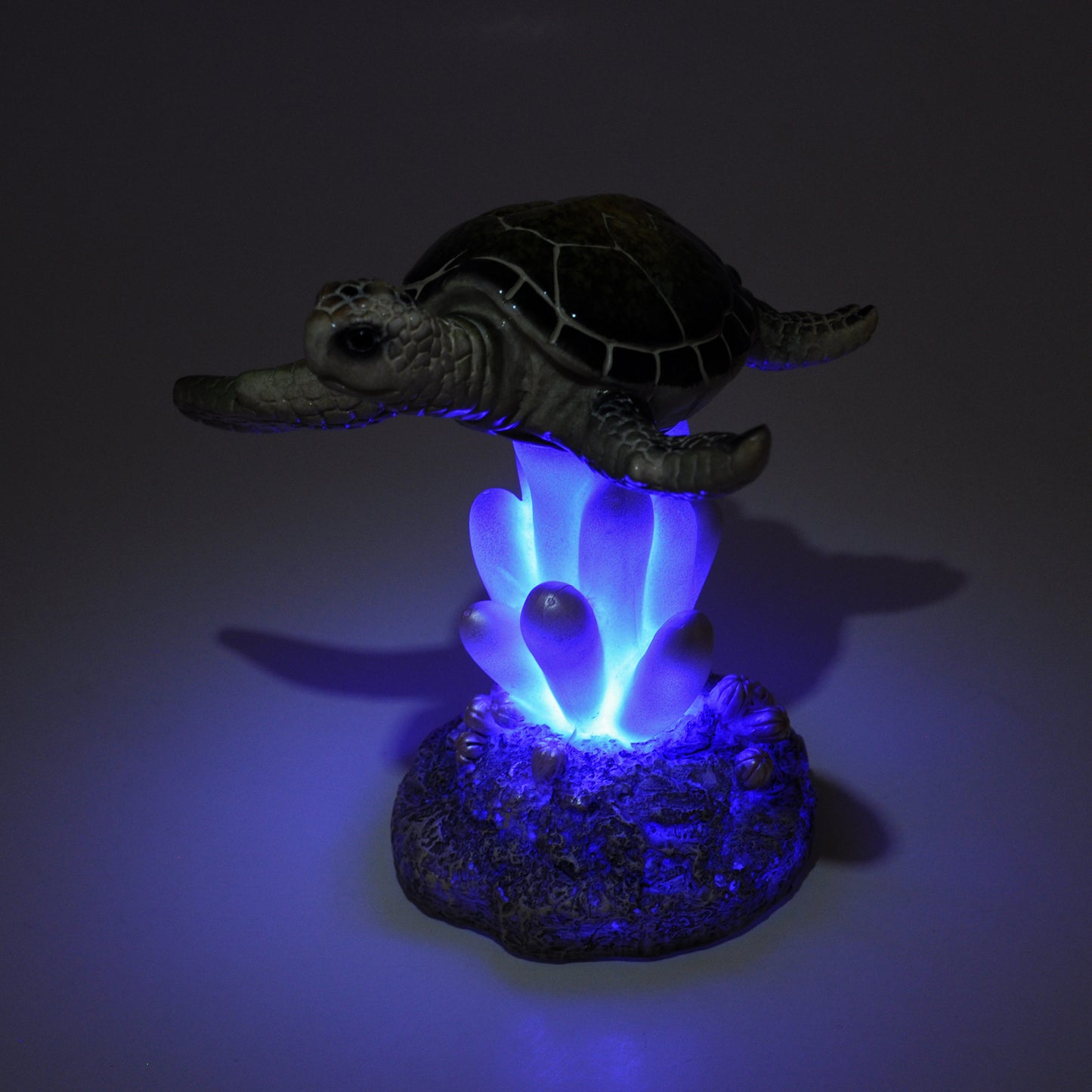LED Sea Turtle over Coral Light by Crystal Castle®